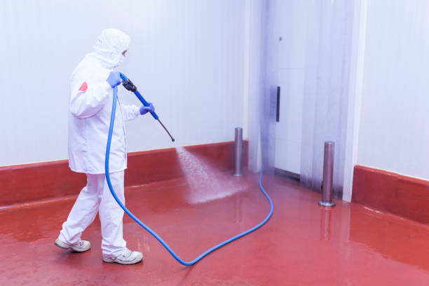 Best Rust Removal  in West Frankfort, IL