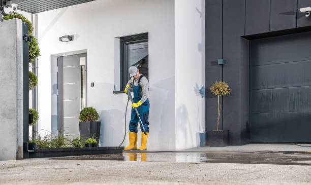 Best Winterizing Services  in West Frankfort, IL